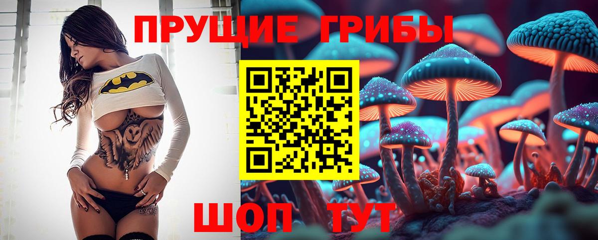 Анапа  купить наркотики цена  Вход с VPN  Псилоцибиновые грибы GOLDEN TEACHER 