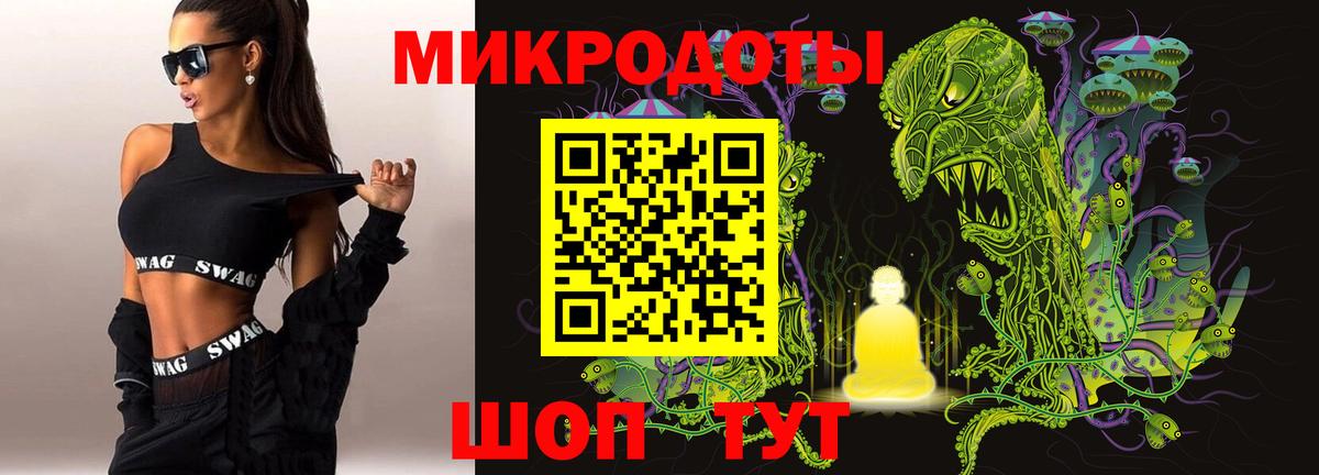 Псилоцибиновые грибы Psilocybine cubensis Анапа